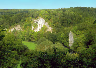 Donautal bei Gutenstein