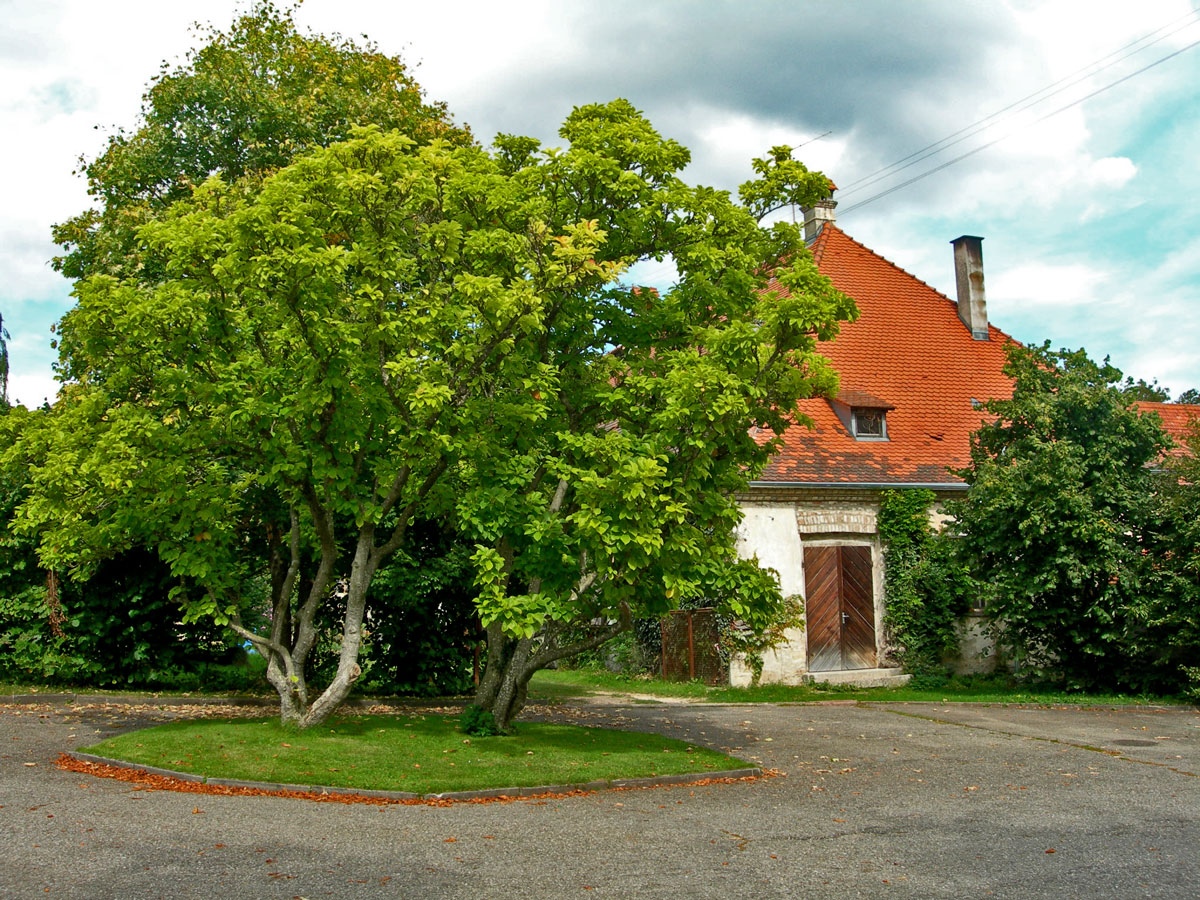 Kloster Inzigkofen