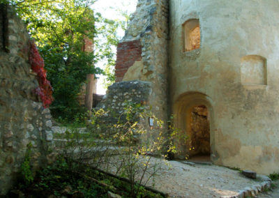Ruine Hornstein Innenbereich